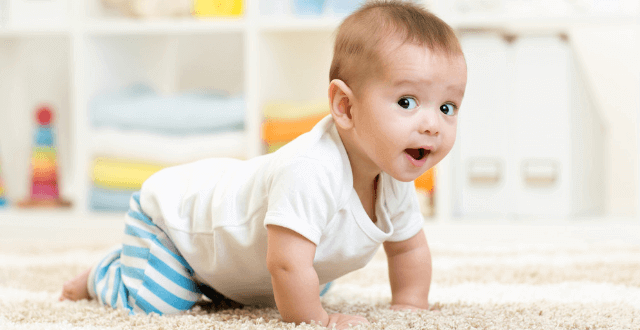 8 Aylık Bebek Gelişimi ve Boy Kilo Oranları