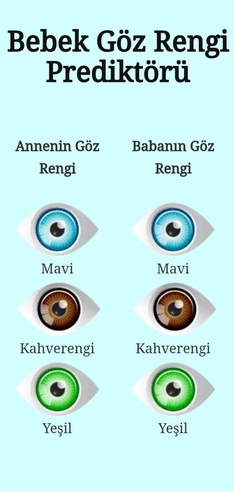 Bebek Göz Rengi Nasıl Belirlenir? Beybida Güncel