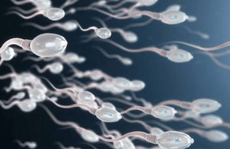 Sperm Sayısını Artırmanın 9 Yolu